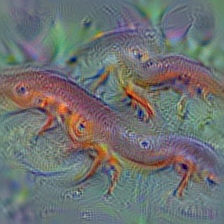 n01631663 eft
